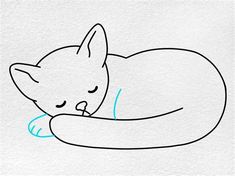 Sleeping Cat Drawing - HelloArtsy