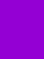 Dark violet / #9400d3 hex color