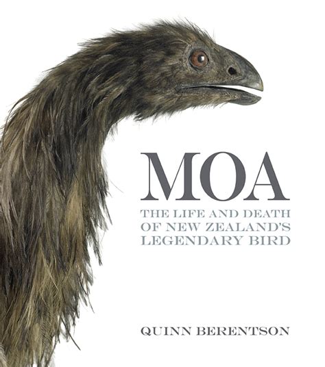 Beattie's Book Blog - unofficial homepage of the New Zealand book ...