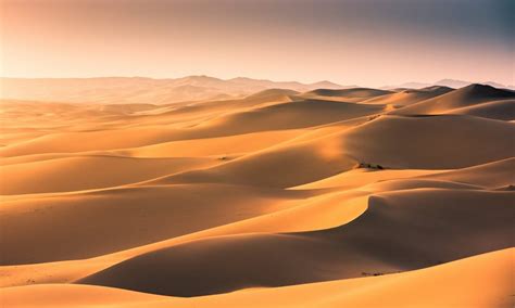 10 Amazing Sahara Desert Images - Fontica Blog