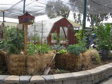 The Green Truth: Hay Bale Gardening