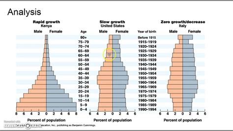 A Population Pyramid