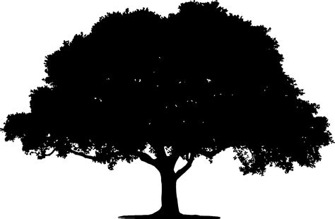 tree silhouette clipart png 20 free Cliparts | Download images on ...