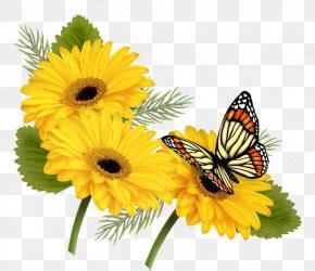 Common Sunflower Butterfly, PNG, 1249x1105px, Common Sunflower, Bee ...