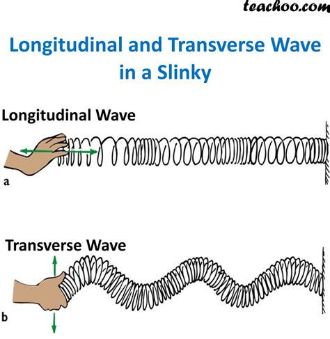 Transverse And Longitudinal Wave Diagram