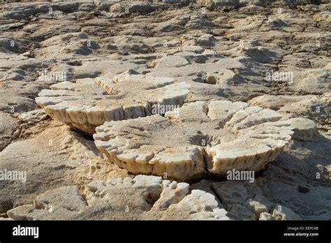 Salt Formations on Saltwater Lake, Dallol, Danakil Desert, Ethiopia ...