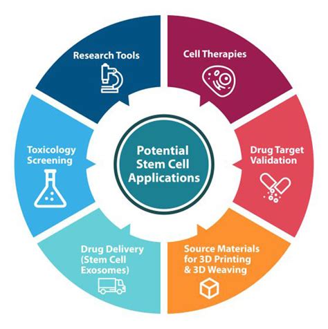 Stem Cell Applications- From Cell Therapy to Drug Development & Beyond