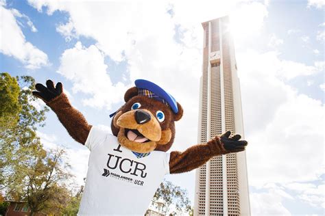 Why Is UCR Mascot A Bear? - Mastery Wiki