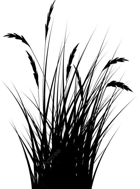 Reeds Grass Silhouette, Grass Drawing, Silhouette Drawing, Grass Sketch ...