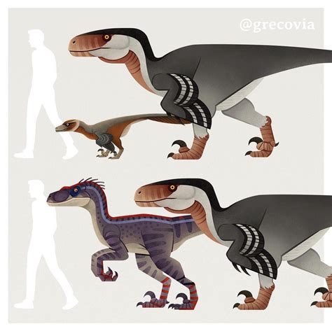 The sheer size of Utahraptor when compared with Velociraptor and the ...