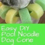 DIY Pool Noodle Dog Cone... Because Your Dog is Worth It! | DIY Noodles