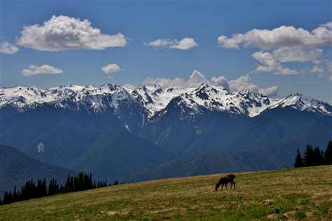 America’s Best Small Towns: Port Angeles, Washington - THE OUTDOOR SOCIETY