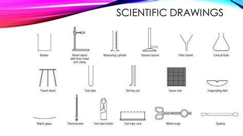 Sketch Spatula Laboratory Apparatus Drawing / These spatulas are ...