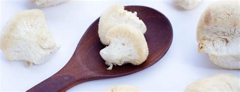 Guide to Lion’s Mane Mushrooms | Benefits & Side Effects | H&B