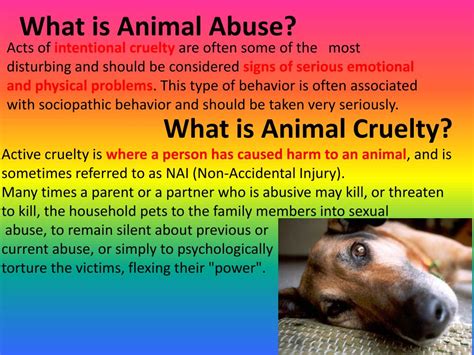 PPT - Animal Abuse PowerPoint Presentation, free download - ID:2127387