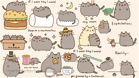 🔥 [50+] Pusheen Cat Desktop Wallpapers | WallpaperSafari