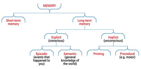 Types of memory - Queensland Brain Institute - University of Queensland