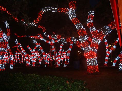 The 21 Best Ideas for Candy Cane Christmas Lights – Best Diet and ...