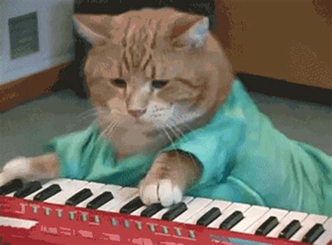 RIP Bento, Legendary Keyboard Cat and Master of Synth – Meowingtons