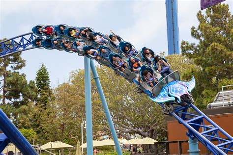 Best Rides at SeaWorld San Diego - Carltonaut's Travel Tips