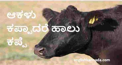 Kannada Proverbs / Kannada Gadegalu with explanation,Story