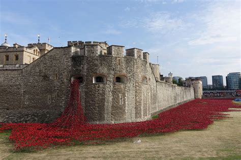 Tower of London’s 888,246 Ceramic Poppies Commemorate Every British ...