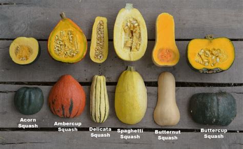 Going Gaga for Gourds | Let’s Hear It For the Squash – The Blog at The ...