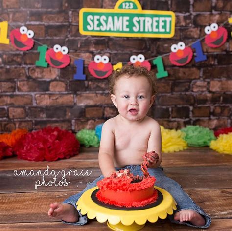 Sesame Street Cake Smash Elmo First Birthday, Smash Cake First Birthday ...