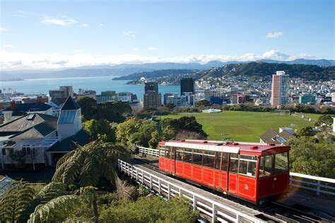 Wellington - City view from the Botanical Gardens, in Wellington ...