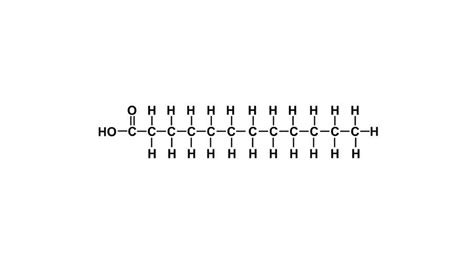 Diagram Of A Saturated Fatty Acid