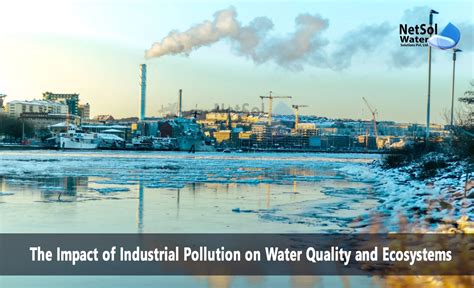 The Impact of Industrial Pollution on Water Quality and Ecosystems