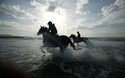 Water Horse Wallpapers - Top Free Water Horse Backgrounds - WallpaperAccess