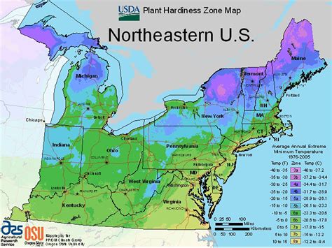 Growing Zones Map 2024 - Adele Antonietta