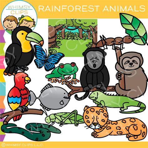 Colorful Rainforest Animals Clip Art , Images & Illustrations | Whimsy ...