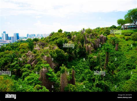 Mount Faber Park - Singapore Stock Photo - Alamy