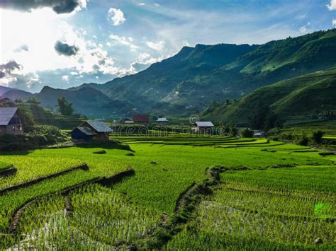 Vietnam Sapa Rice Fields View Stock Image - Image of fields, china ...