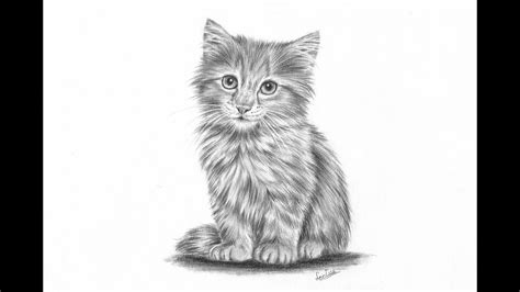 How to draw a realistic kitten part 2: Fur and details | Leontine van ...