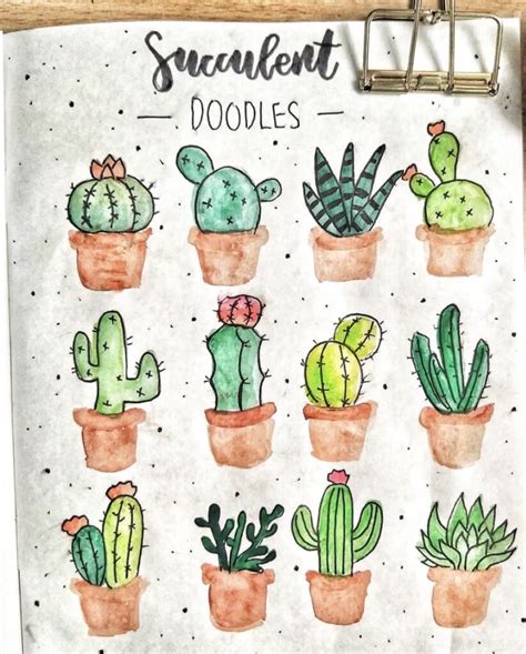 How to Draw Succulents with Easy Step by Step Tutorials