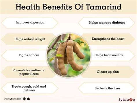 Tamarind Benefits And Its Side Effects | Lybrate