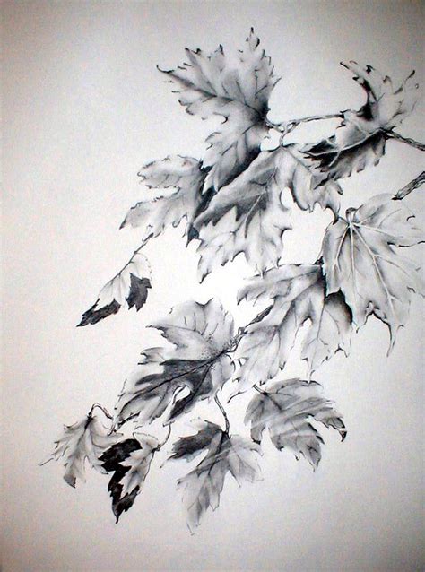 Fall Leaves - pencil drawing | My Watercolors | Pinterest | Fall leaves ...