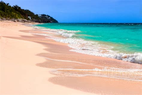 Why Is The Sand Pink?...And Other Facts About Bermuda’s Beaches - YMT ...