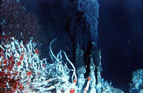 Hydrothermal vents - Deep Sea Spy