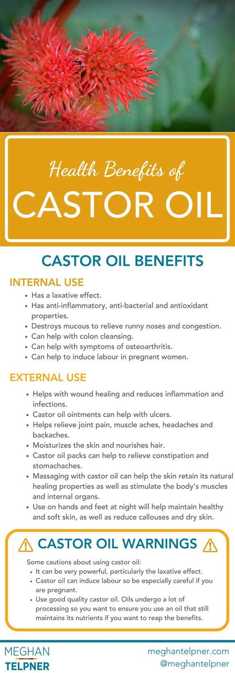 Health Benefits of Castor Oil | Internal + External Uses Castor Oil ...