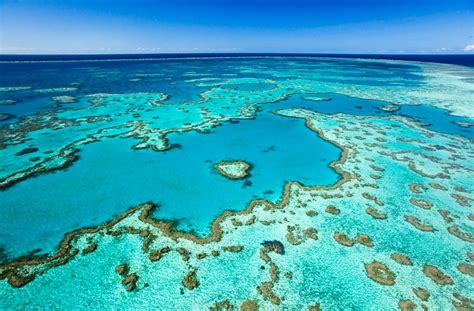 Andrew Watson Photography: Heart Reef Aerial, Whitsundays