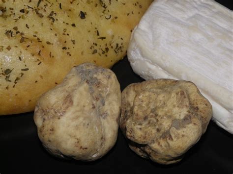 White Truffles Now Available In Limited Quantities