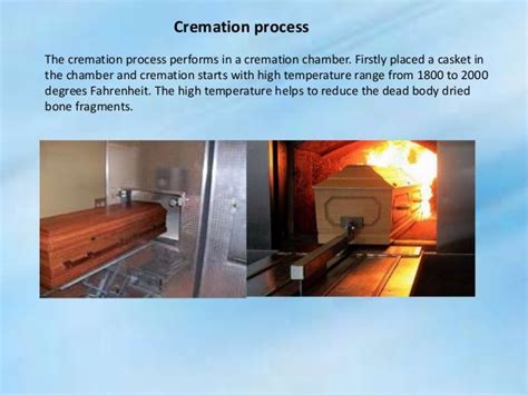 Steps for cremation process in florida