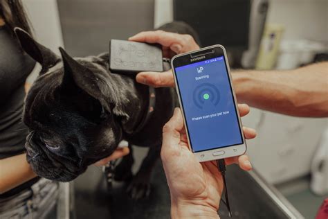 GPS Tracker VS Microchip – What Your Pet Really Needs - PetScanner