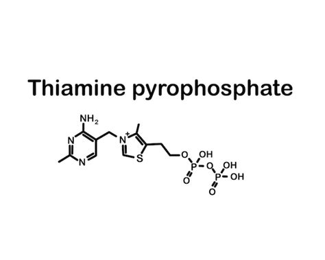 Premium Vector | Chemical formula of thiamine pyrophosphate