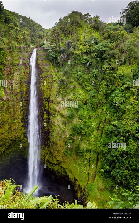 The Akaka Falls in the Akaka Falls State Park on Big Island, Hawaii ...