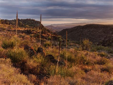 Chihuahuan Desert – Planeta.com